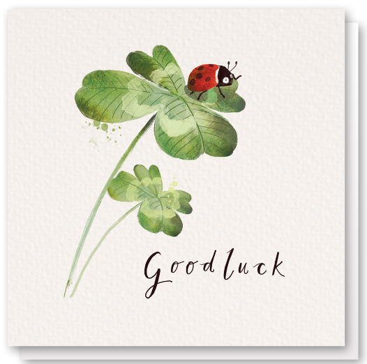 Four Leaf Clover Ladybird Good Luck Greeting Card