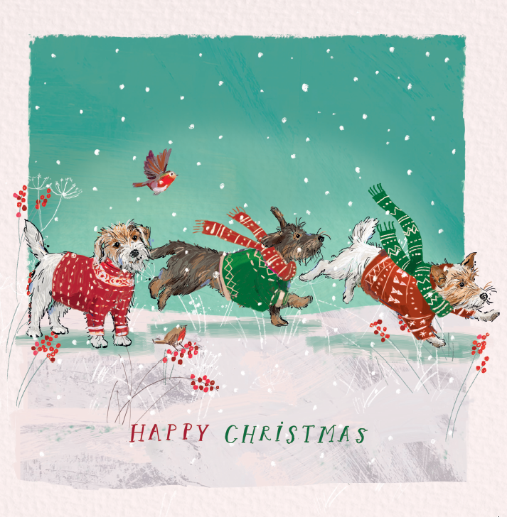 Off For A Walk Charity Christmas Cards 10 Pack