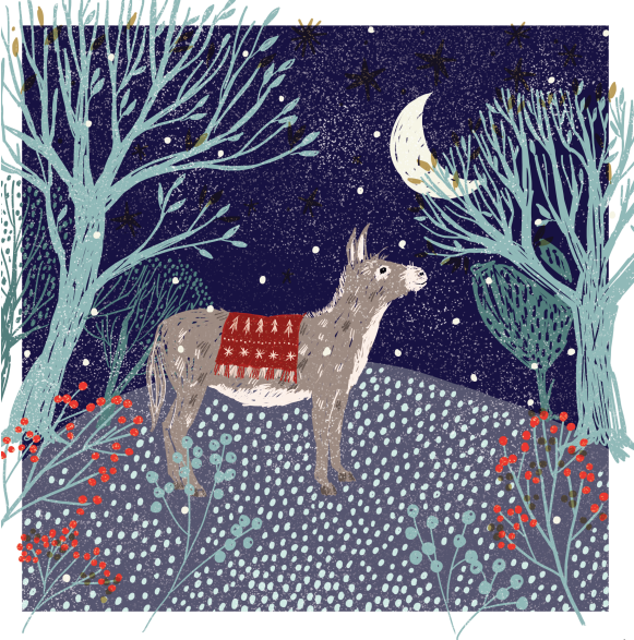 Moonlit Donkey / Robin On The Branch Charity Christmas Cards 10 Pack Twin Pack