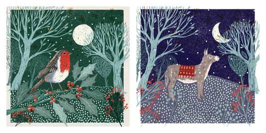 Moonlit Donkey / Robin On The Branch Charity Christmas Cards 10 Pack Twin Pack