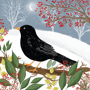 Blackbird - Christmas card