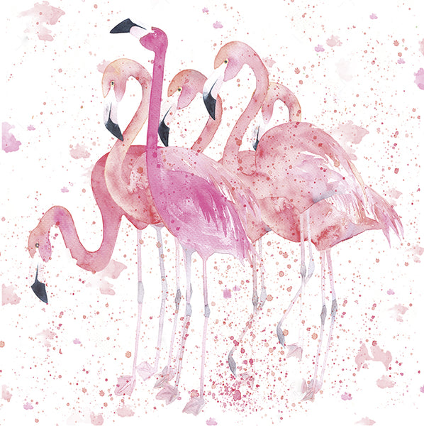 Flamingos -  greetings card