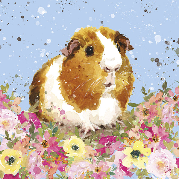 Guinea Pig -  greetings card