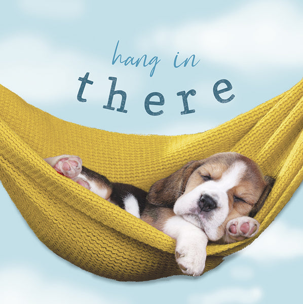 Hang In There -  greetings card