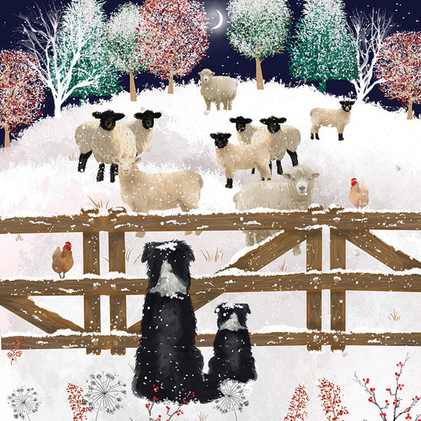 Knowing me, knowing ewe - Christmas card