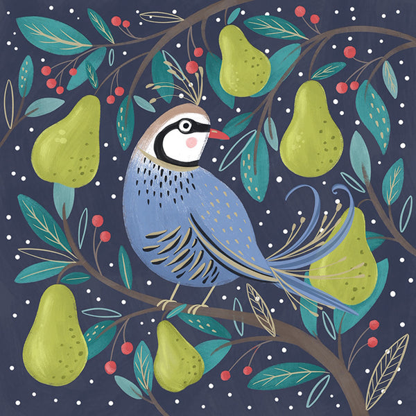 Partridge in a pear tree -  Christmas card