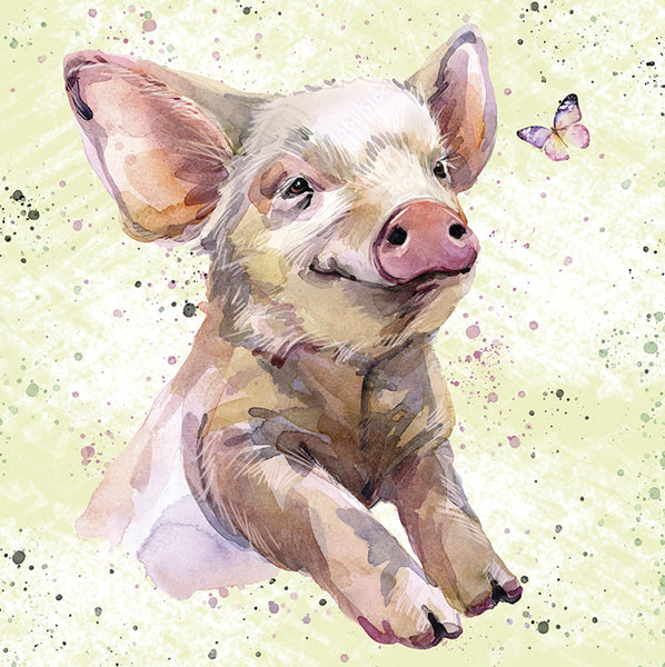 Pig -  greetings card