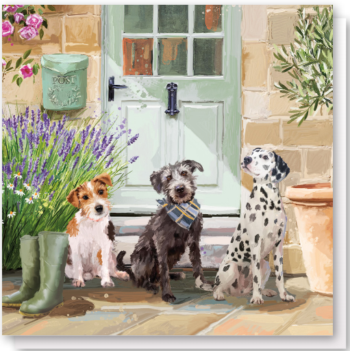 Off For A Walk? Dogs Jack Russel, Terrier, Dalmatian Greeting Card