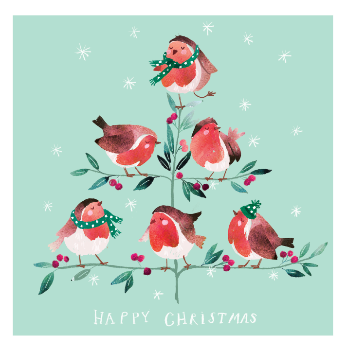Winter Robins Charity Christmas Cards 10 Pack
