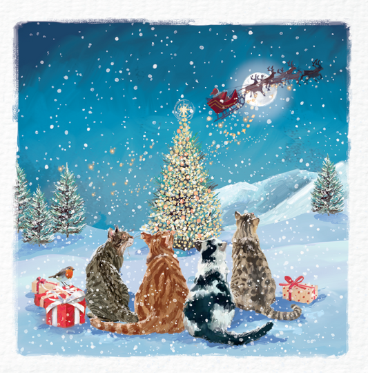 A Special Visitor Charity Christmas Cards 10 Pack
