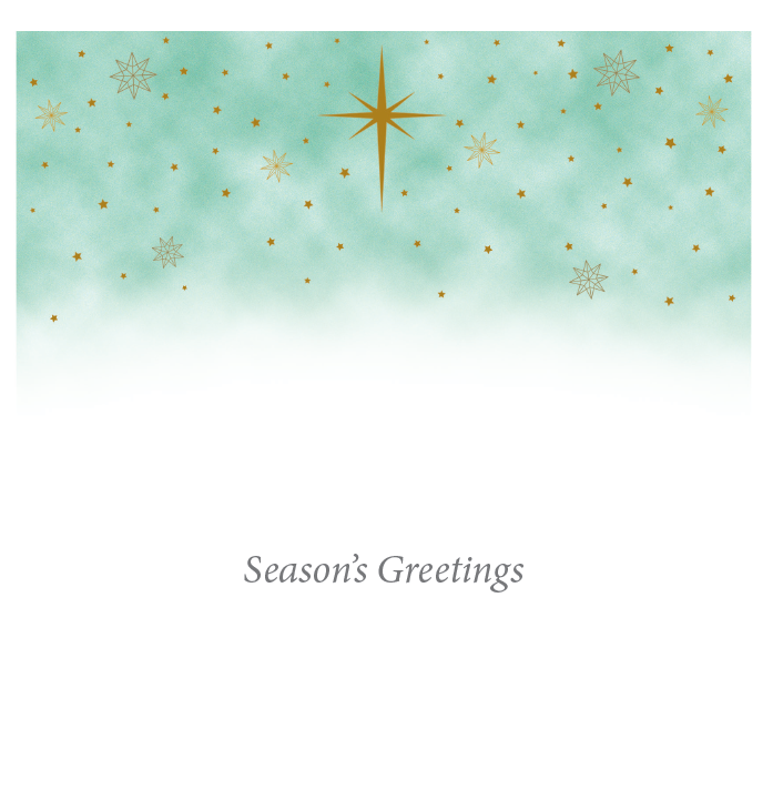 The Nativity Charity Christmas Cards 10 Pack