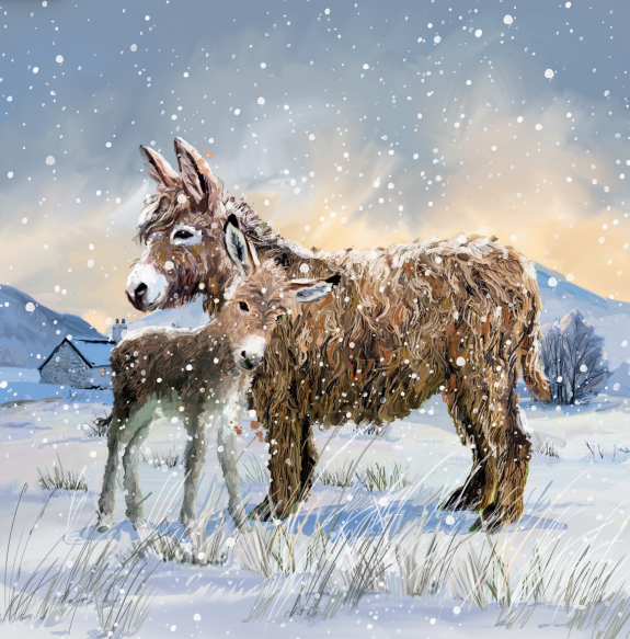 Mare And Foal / Festive Deer Charity Christmas Cards 10 Pack Twin Pack
