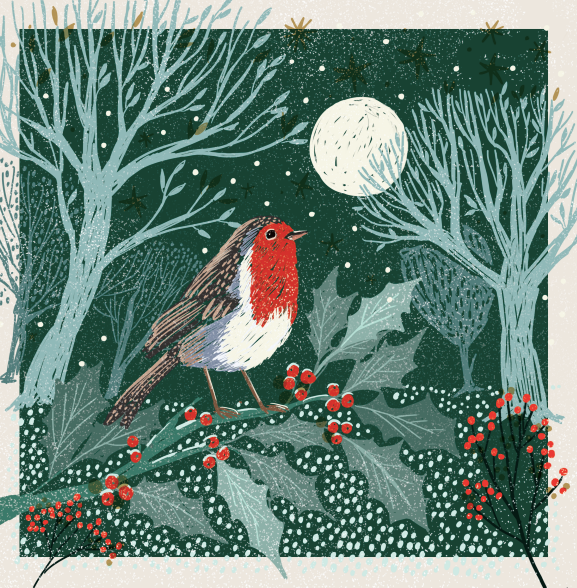Moonlit Donkey / Robin On The Branch Charity Christmas Cards 10 Pack Twin Pack