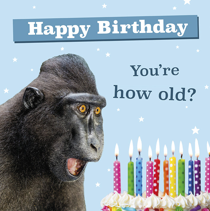 You're How Old -  birthday card