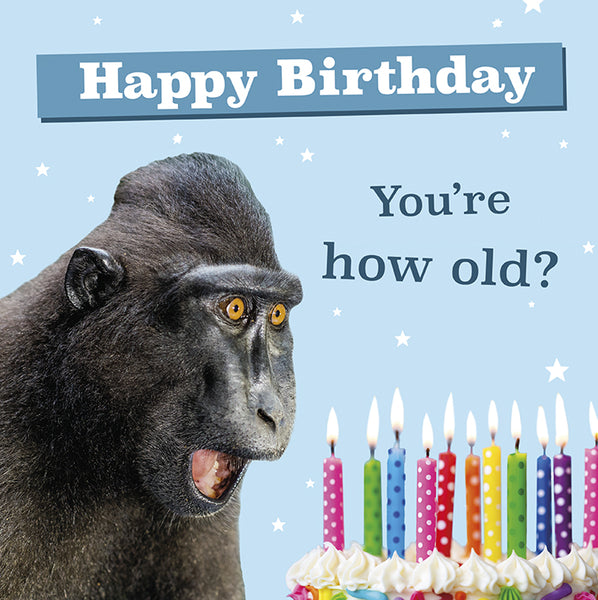 You're How Old -  greetings card