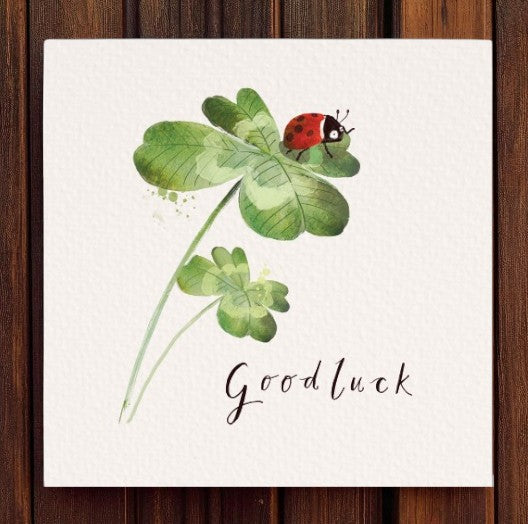 Four Leaf Clover Ladybird Good Luck Greeting Card