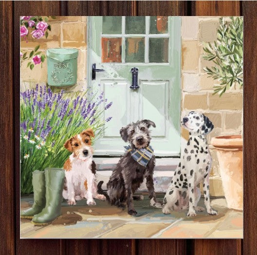 Off For A Walk? Dogs Jack Russel, Terrier, Dalmatian Greeting Card