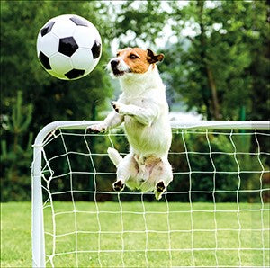 Dog Football - greetings card