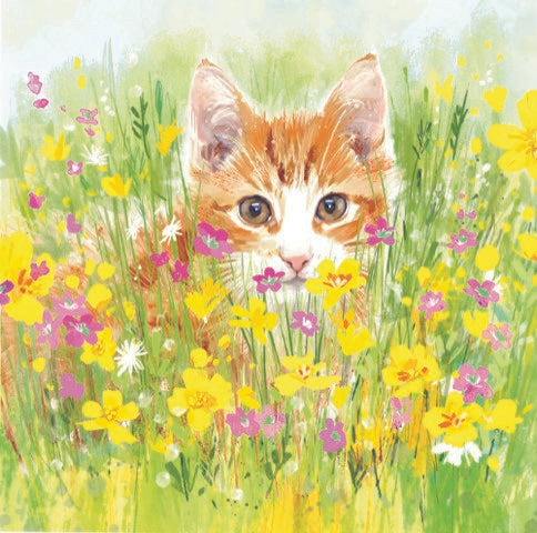 Flower Cat -  greetings card