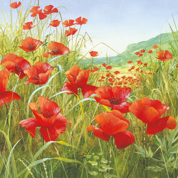 Poppy Field - greetings card